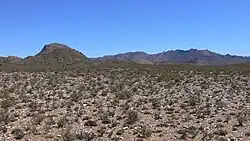 پوشش گیاهی غالب در کارو