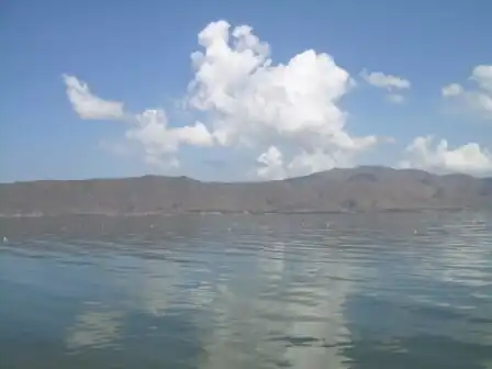 دریاچه سوان