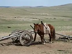 نمایی از اسب، زین، و گاری، در آرخوست