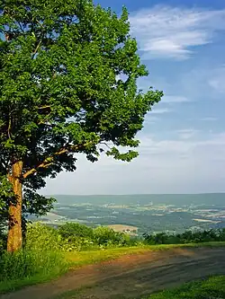 نمایی از ناحیه از فراز Tioga State Forest
