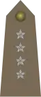 KapitanPolish Army