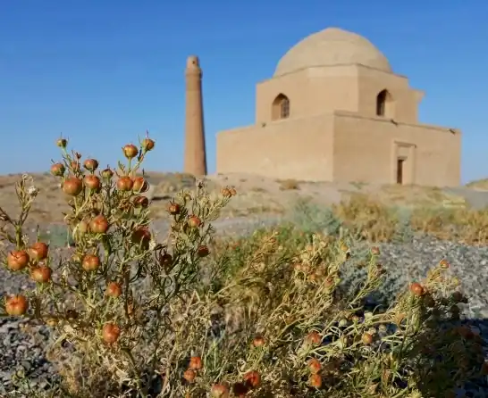 مجموعه تاریخی سنگ بست