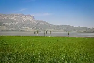 دریاچه ارژن