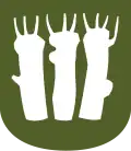 نشان آسکر