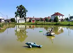 Common pond in Bítouchov