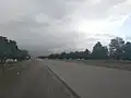 باغات و درختان توت جاده باغرود در اردیبهشت ۱۴۰۱