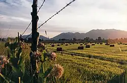 A partial view of Utah Valley seen here from outside of Salem