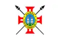 پرچم City of Viamão