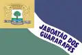 پرچم جابواتاو دوس گواراراپیس