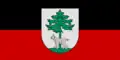 پرچم Jēkabpils