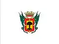 پرچم Villa de La Orotava