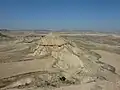 باردناس سپید