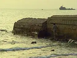 ساحل المنقف