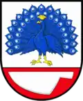 نشان بدیهوشس