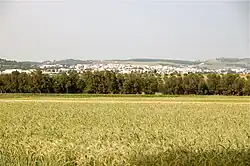 افق مریی باجه