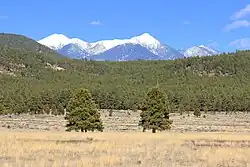A field in Bellemont, Arizona