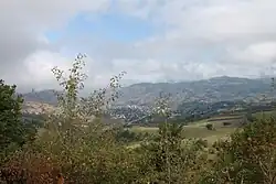 برد