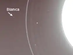 Bianca