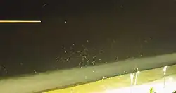 رد حرکت پرندگان به دور منابع نور قوی