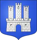 نشان ژین