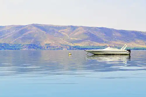 دریاچه سوان