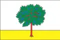 پرچم Bohodukhiv