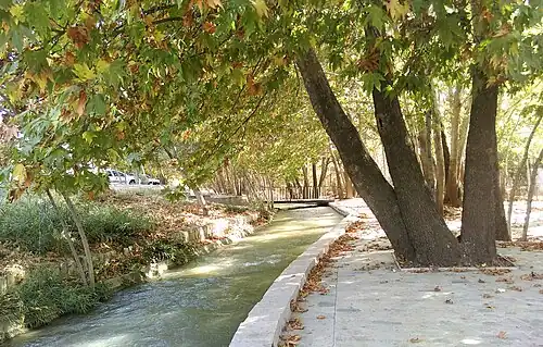 بیشه‌های باغ فدک