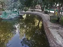 حوضچه باغ