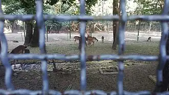 باغ چهارپایان چرنده