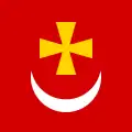 پرچم Borzna