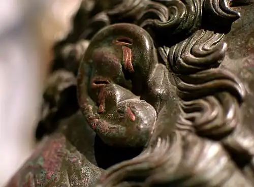 گوش گل کلمی