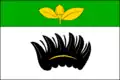 پرچم بوکوف (ناحیه ژدار ناد سازاوو)