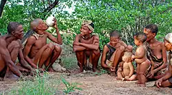 خانواده شکارچی-گردآورنده در آفریقای جنوبی