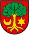 نشان Erlach