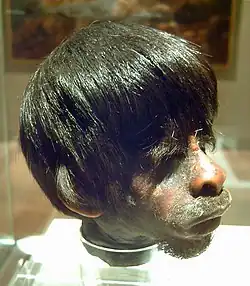 عکس یک سر کوچک‌شده که در موزه به نمایش درآمده است.