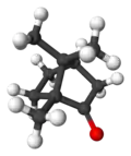 Ball and stick model of camphor ((1R,4R)-1-methyl,heptan)