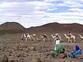 کاروان متعلق به بادیه‌نشینان عرب در حال عبور از بیابان‌های هوقار