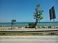 یکی از سواحل دریای خزر