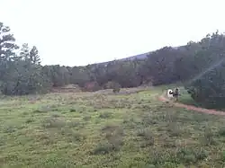 Hiking trail in Cedar Crest