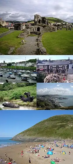 Clockwise from top: Aberystwyth Castle, Dolau Inn, Aberystwyth shore, Mwnt, Water buffalo in River Teifi, Aberaeron harbour