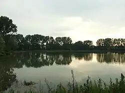 Pond