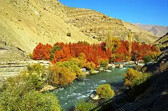رودخانه کرج