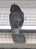 Carved wooden owl above Platform 4 at Chester Railway station