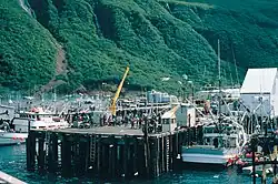 Residents waiting for the Tustumena ferry.