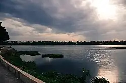 Waters of Chitlapakkam Lake Chennai limit