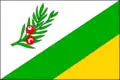 پرچم خلوم (ناحیه روکیتسانی)