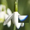 انحراف رنگی با جزئیات
