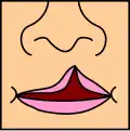 یک‌سویهٔ ناکامل