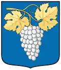 نشان سین