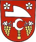 نشان لادنا